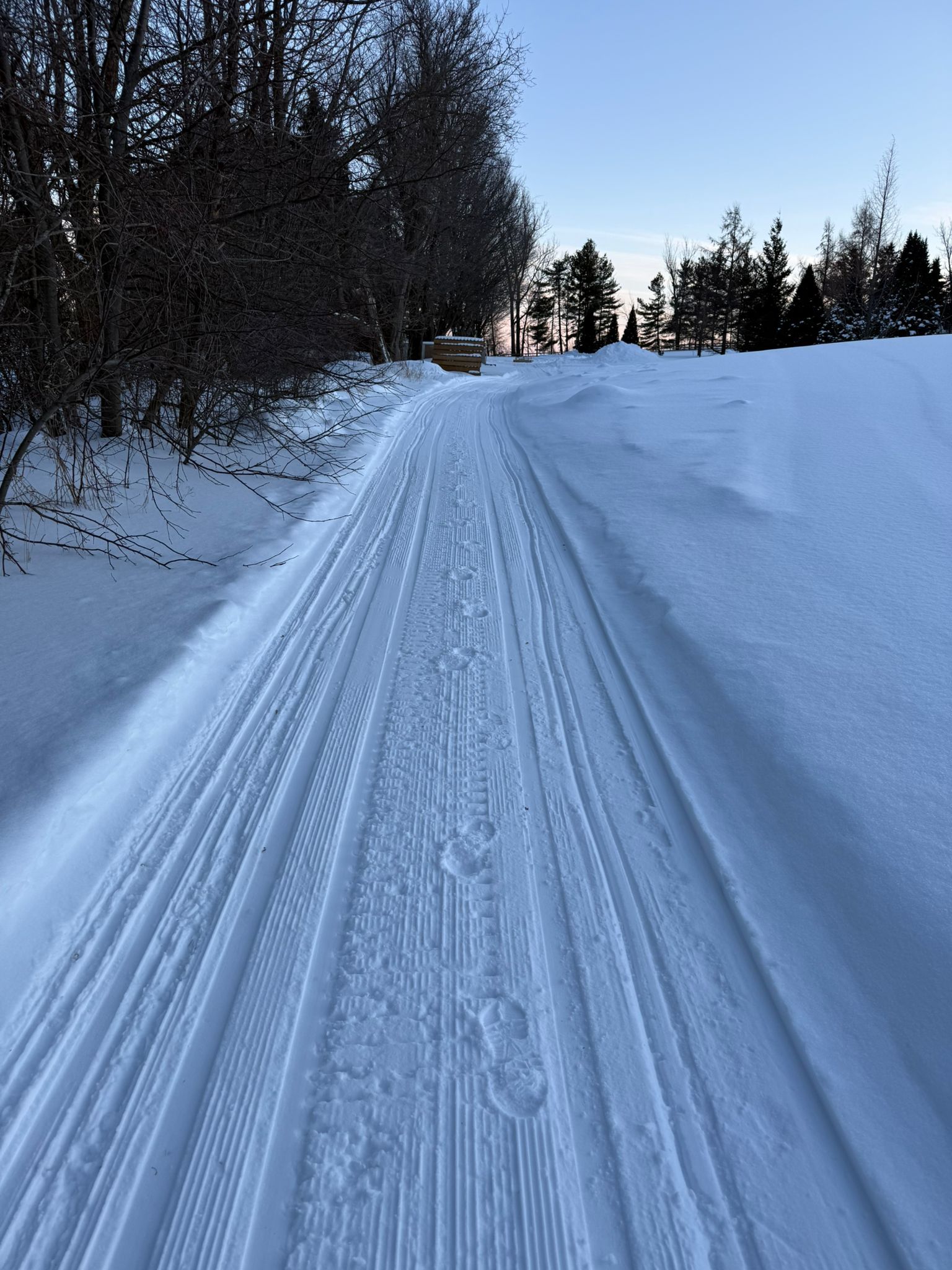 Groomed snow-covered trail winding through bare winter trees under blue sky