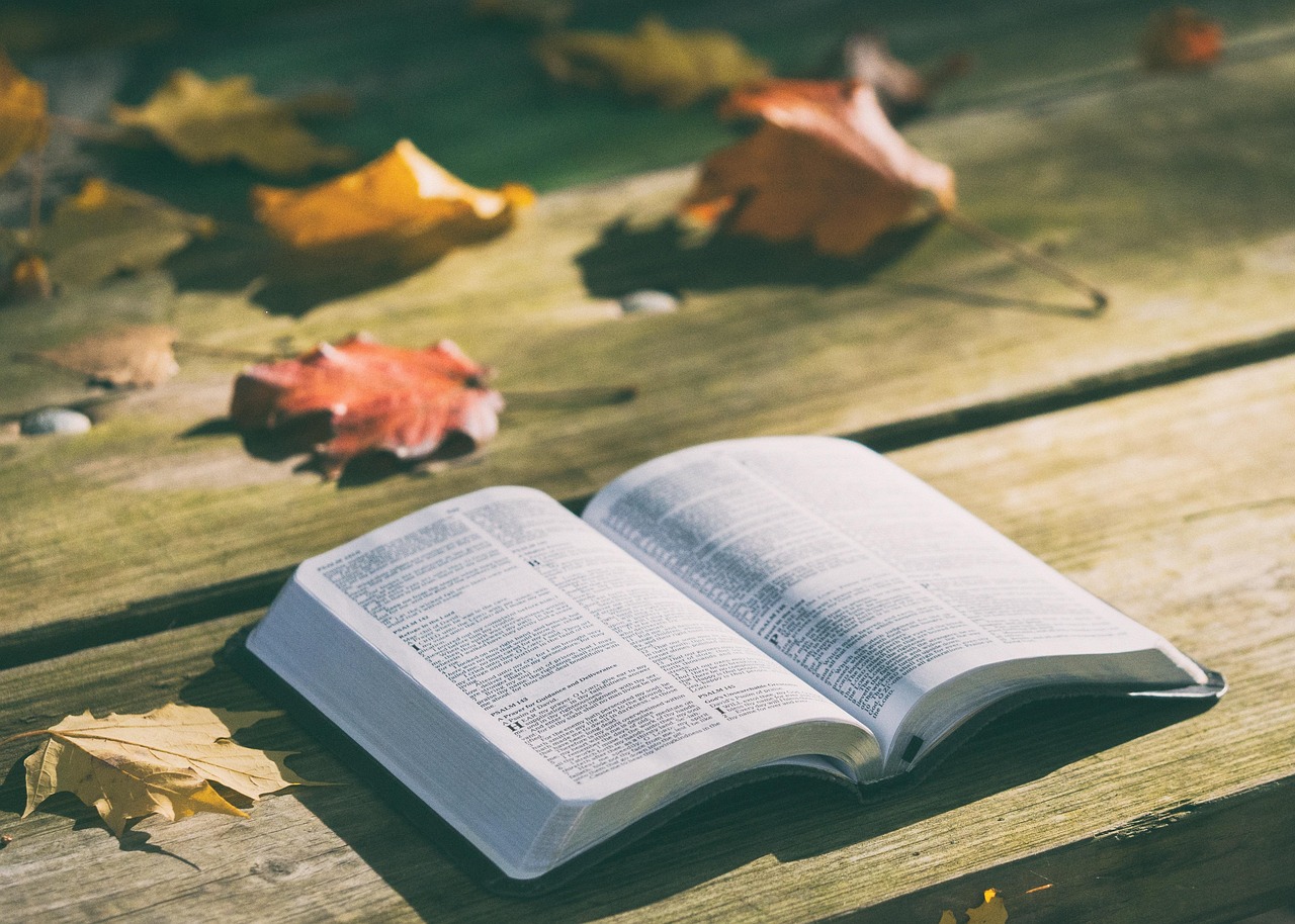 Open Bible resting on a wooden bench surrounded by autumn leaves